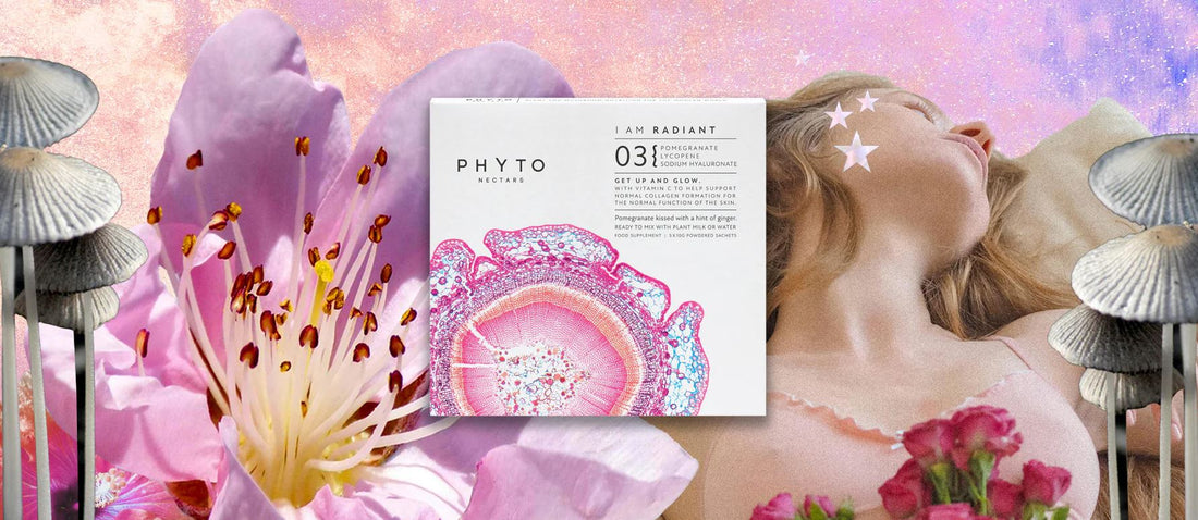 PHYTO Nectars