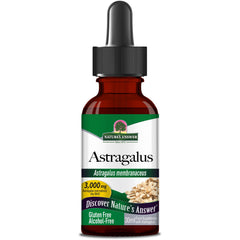 Astragalus Root (30ml)