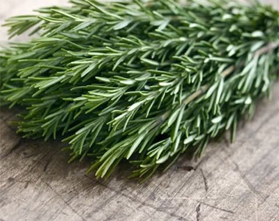 Rosemary Ingredient Breakdown