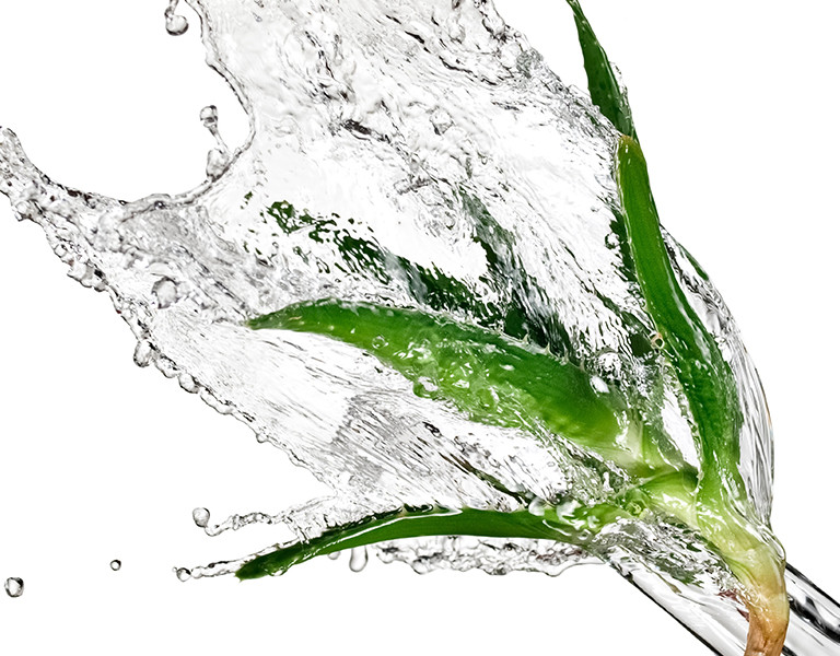 Why Use Aloe Vera For Hair Care?