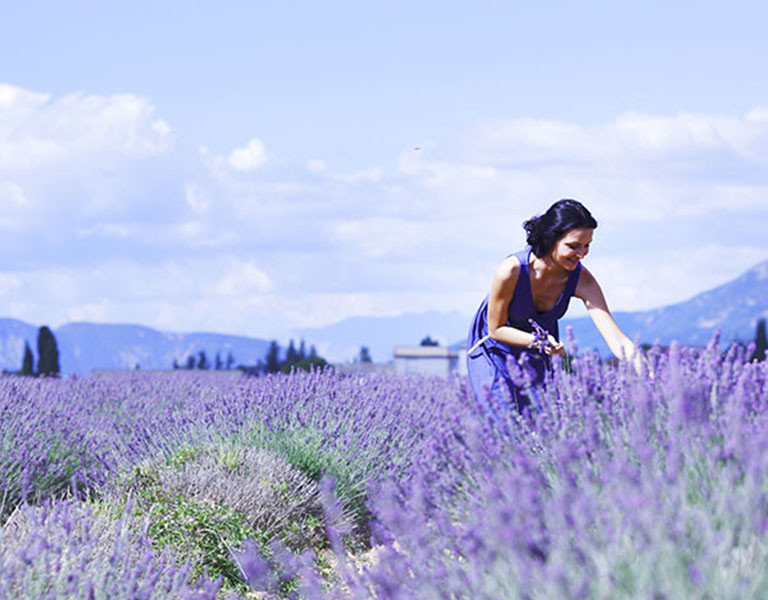 Beautiful Shades Of Lavender