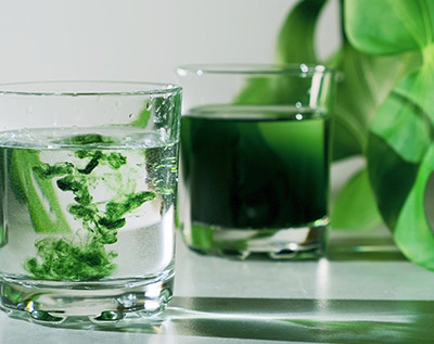 Discover Chlorophyll: Vital Green Goodness