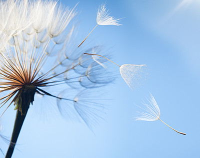 Put A Spring In Your Step And Combat Hay Fever