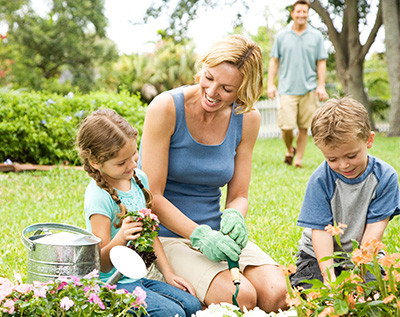 It's not too late to get gardening!