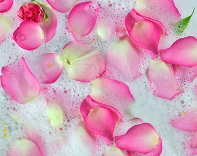 The History of Rose in Beauty