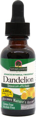 Dandelion Root (30ml)