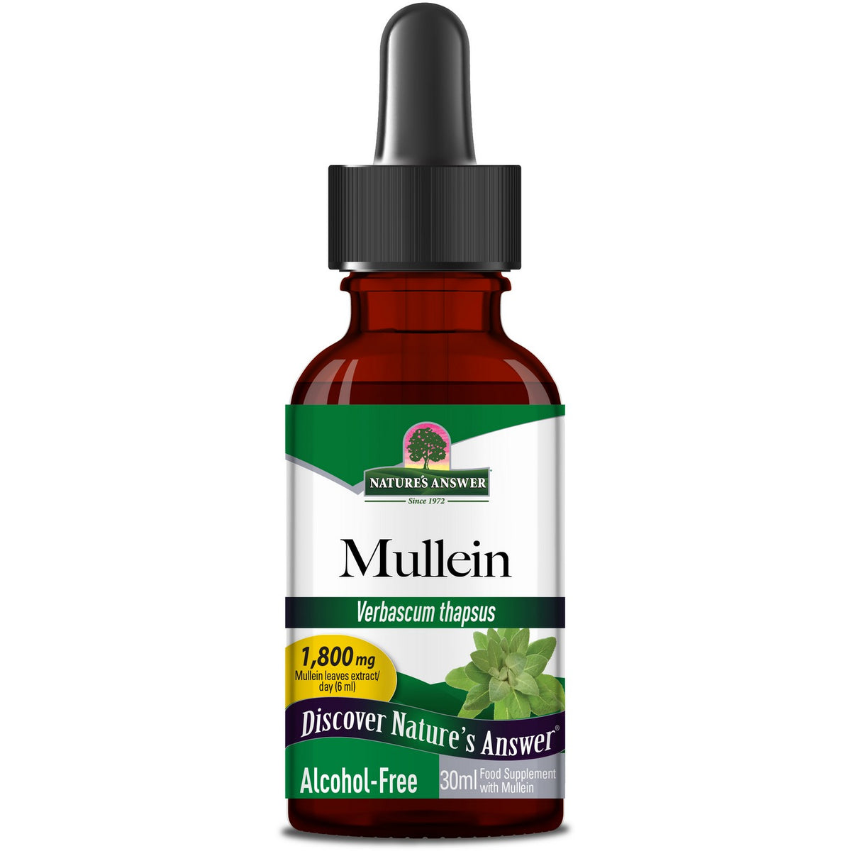 Mullein Leaf (30ml)