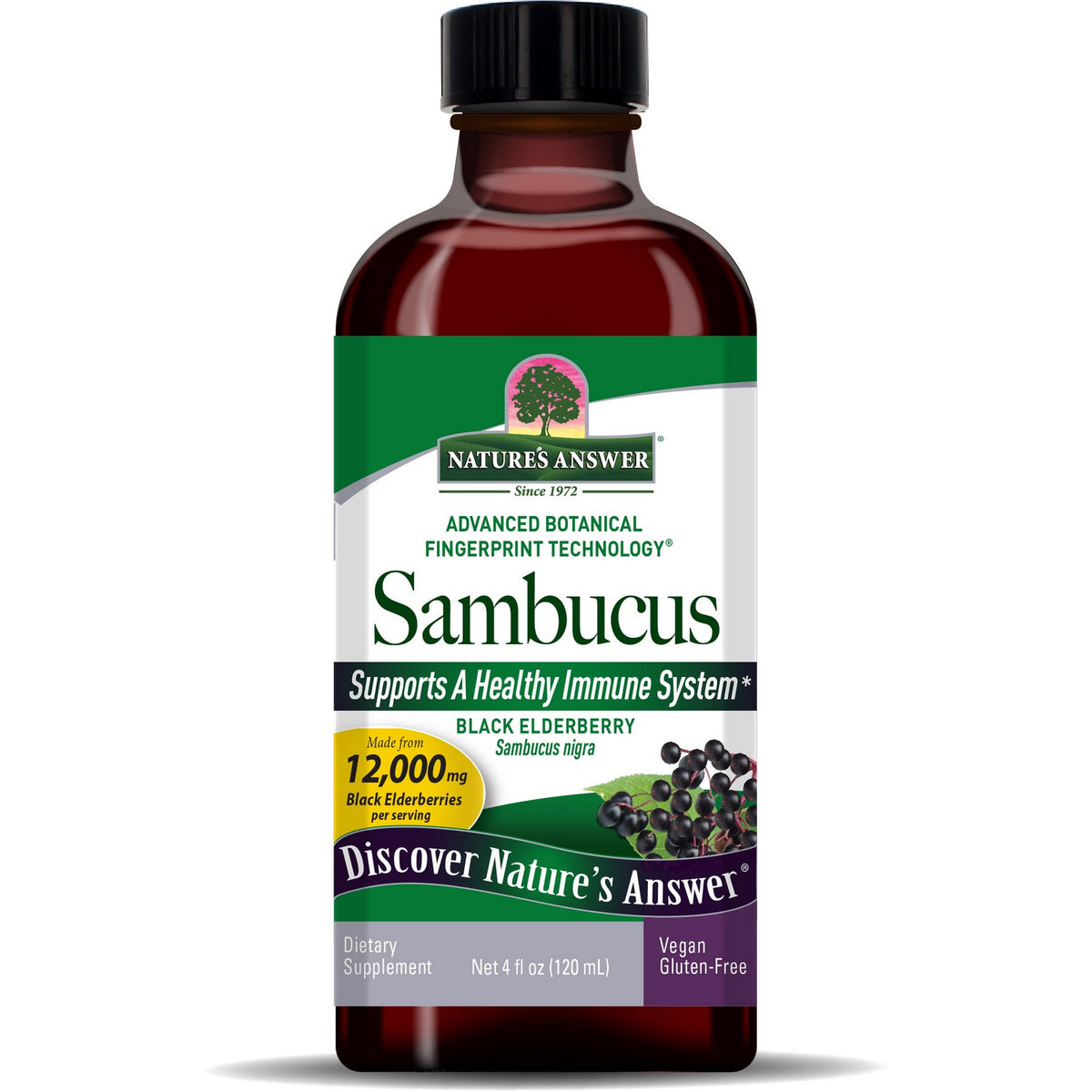 Sambucus Black Elder Berry (120ml)