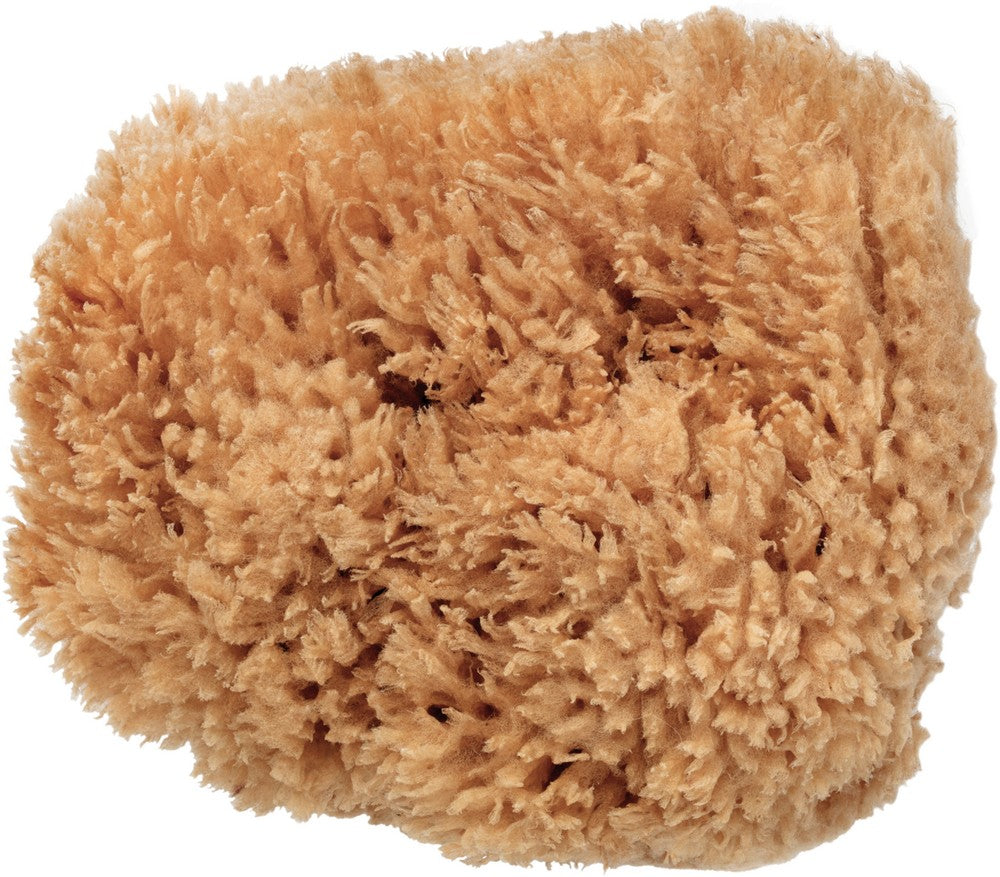 Eco-Harvested Body Sea Sponge 1unit