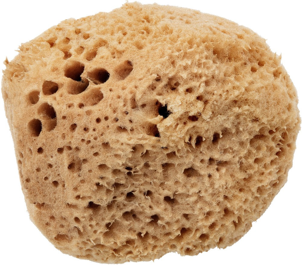 Eco-Harvested Face Sea Sponge 1unit